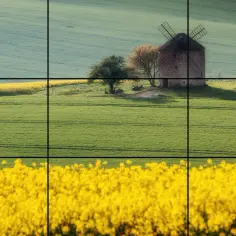 Trójpodział w fotografii: Klucz do lepszych zdjęć? Wyjaśnienie
