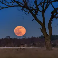 Jak zrobić zdjęcie księżyca: 5 sprawdzonych technik fotografowania nocą