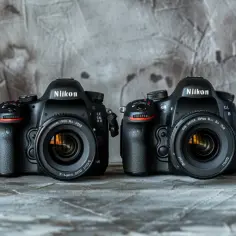 Nikon D4 vs Nikon D4s - przegląd aparatów Nikon D4 i D4s.