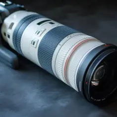 Canon 100-400mm II - co musisz wiedzieć przed zakupem
