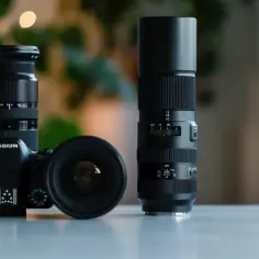 Sigma 60-600mm: Najwszechstronniejszy teleobiektyw zoom? Test