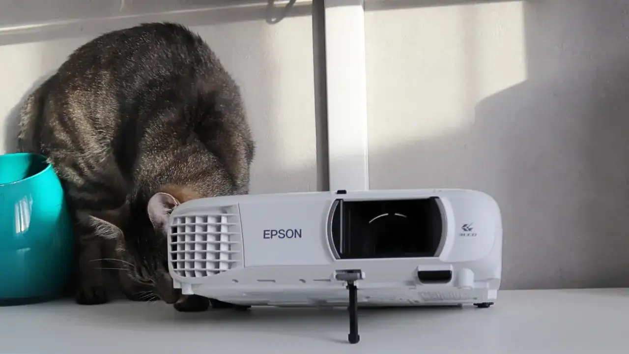 Zdjęcie Epson EH-TW750: Najlepszy projektor do 5000 zł? Recenzja