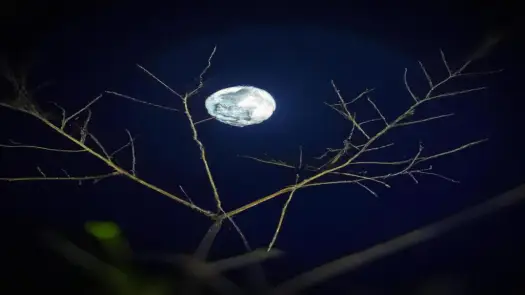 Jak zrobić zdjęcie Księżyca telefonem i uniknąć najczęstszych błędów
